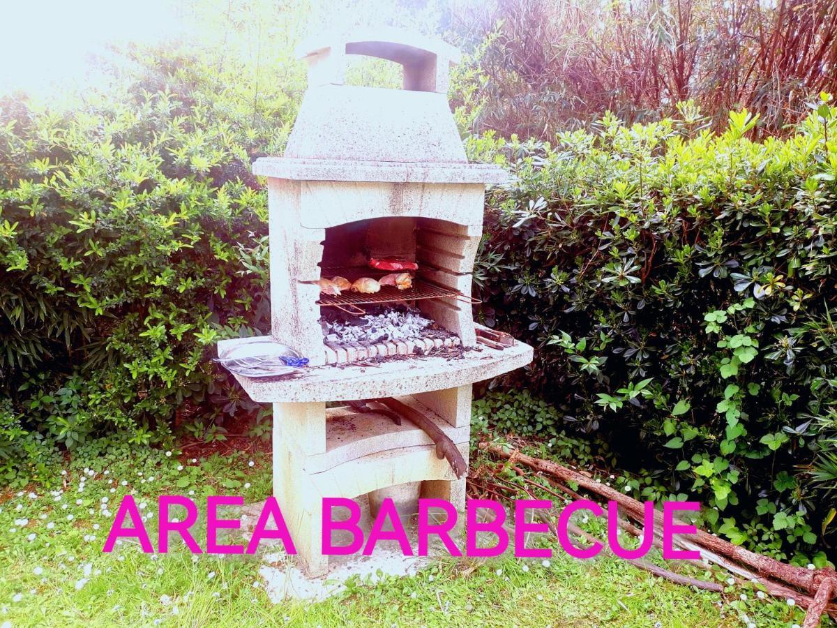 Albachiara Inn Residence Apartments Ameglia Eksteriør billede